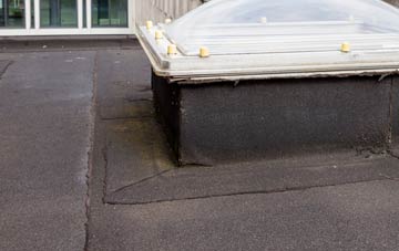 disadvantages of Bronydd flat roofs
