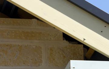 soffit repair Bronydd
