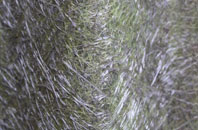 Bronydd fibreglass roof work